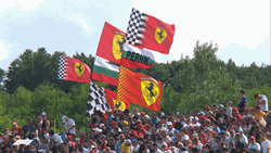 Hungary F1 Crowd