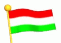 Hungary Flag Cartoon