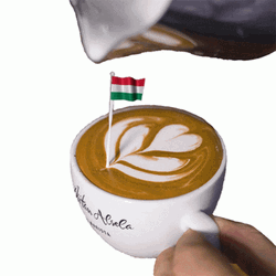 Hungary Flag On Cappuccino