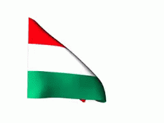 Hungary Flag Waving