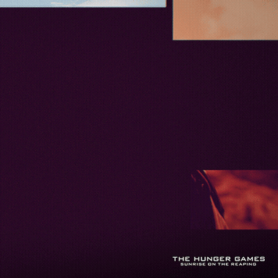 Hunger Games Poster Woman GIF