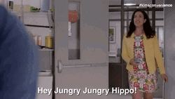 Hungry Hippo Kims Convenience GIF