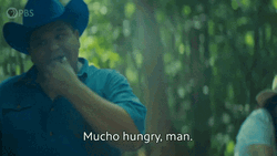 Hungry Hippo Mexican Cook GIF