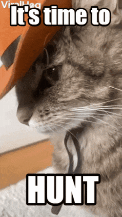 Hunt Hunt Showdown GIF