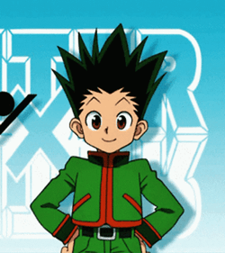 Hunte X Hunter Gon Freecss GIF
