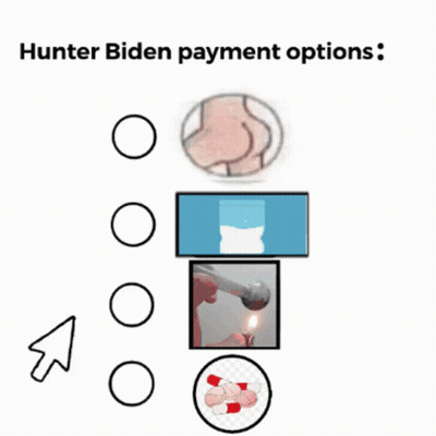 Hunter Biden Payment Options Including Lighter GIF
