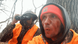 Hunting Partners Waiting For Preys GIF