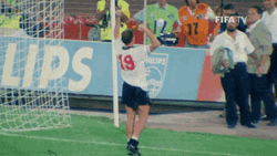 Hurray World Cup Number 18 FIFA GIF