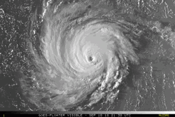 Hurricane Florence Doppler GIF