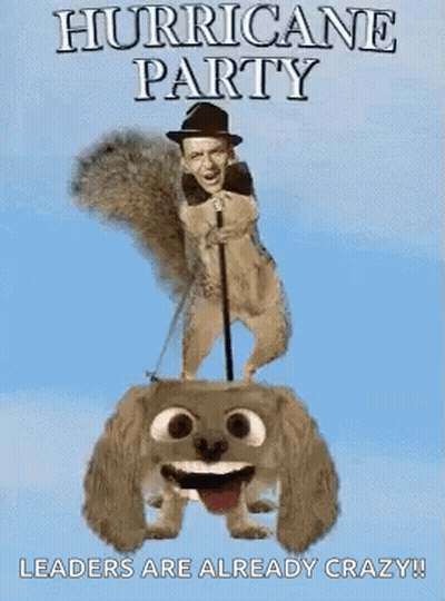 Hurricane Party Poster With Squirrel And Dog GIF