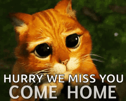 Hurry We Miss You Coming Home GIF
