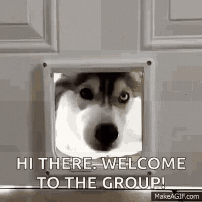 Husky Dog Looking Through Cat Door Saying Hi There GIF