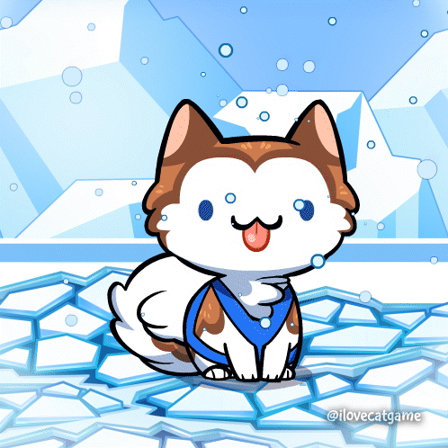 Husky Dog Sitting On Ice With Bubbles GIF