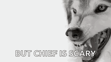 Husky Dog With Open Mouth But Chief Is Scary GIF
