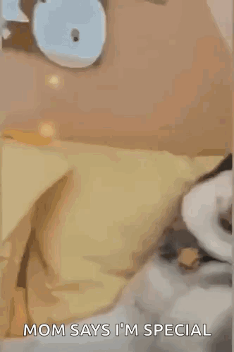 Husky Laying On Couch Making Funny Face GIF