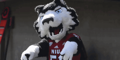 Husky Mascot In Red Adidas Shirt GIF