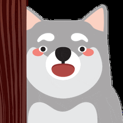 Husky Peekaboo In The Curtain GIF
