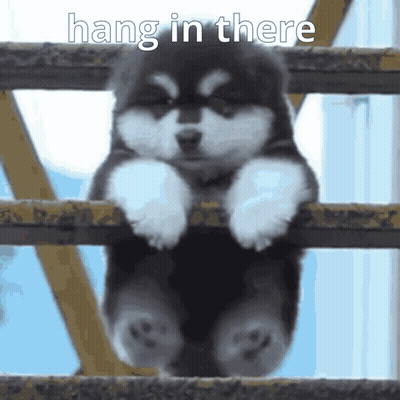Husky Puppy Hanging Over Fence Hang In There GIF