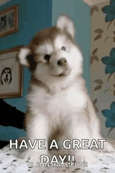 Husky Puppy Sitting On Bed Saying Have A Great Day Glenn Have Fun GIF