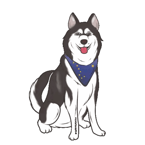 Husky Wearing Star Blue Bandana Sticker