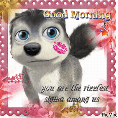Husky With Kiss And Good Morning GIF