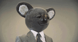 Huzzah Executive Koala Bear GIF