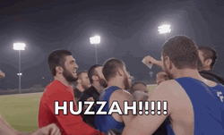 Huzzah Mixed Martial Arts Team GIF