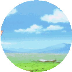 Hx H Hunter X Hunter Sticker GIF