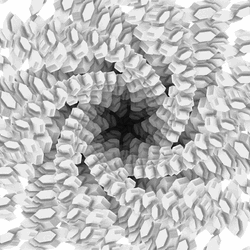 Hypno Black And White Tentacles GIF