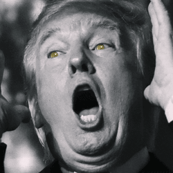 Hypno Donald Trump GIF