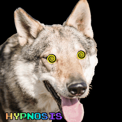Hypno Wolf Eyes GIF