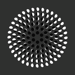 Hypnotic Spiral Black And White Moon Phases GIF