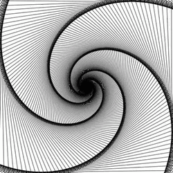 Hypnotic Spiral Black And White Twirl GIF