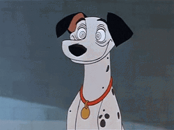 Hypnotized Dalmatian Dog GIF