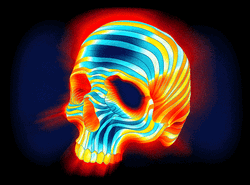 Hypnotizing Multi Colored Skull