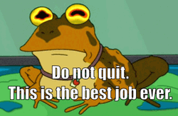 Hypnotoad Entrancing Eyes Do Not Quit GIF