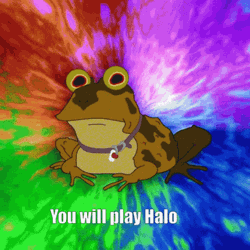 Hypnotoad Hypnosis You Will Play Halo GIF