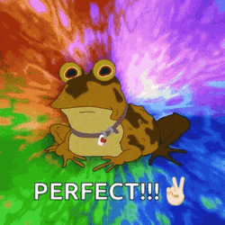 Hypnotoad Rainbow Swilrs Perfect GIF