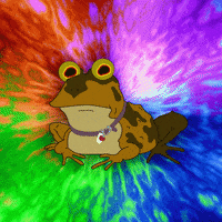 Hypnotoad Spellbinding Neon Green Lights GIF