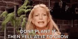 Hysterical Kate Hudson Yelling GIF