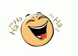 Hysterical Laughing Funny Cat GIF