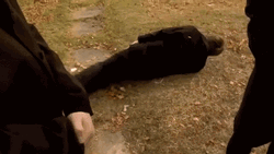 Hysterical Laughing ROFL GIF