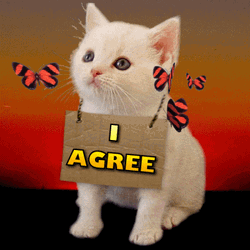 I Agree Cute Kitten Poster GIF