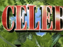 I Am A Celebrity Get Me Out Of Here  GIF