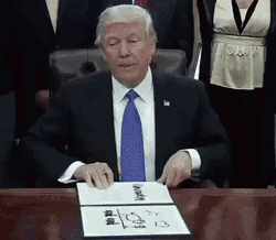I Am A Racist Pig Donald Trump Meme GIF