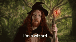 I Am A Wizard Guy GIF