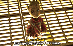 I Am Groot Don't Like Hats GIF