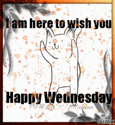 I Am Here To Wish You Happy Wednesday With A Cat GIF