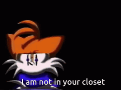  I Am Not Your Closet Sonic Meme GIF