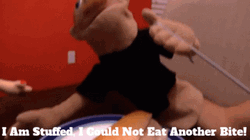 I Am So Full Couldn't Eat Another Bite GIF